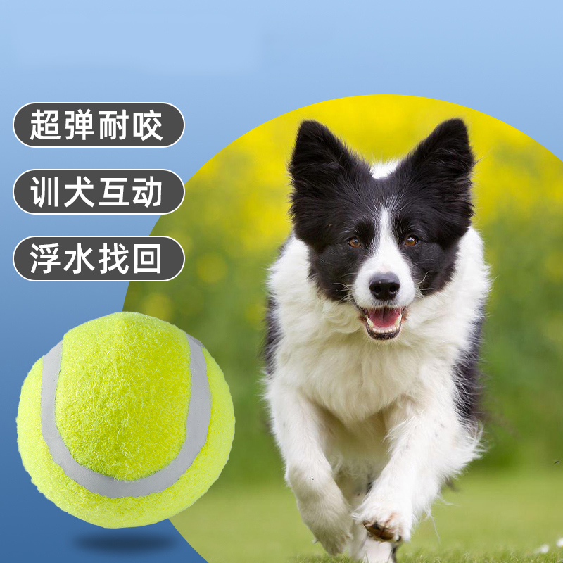 狗狗玩具球自嗨解闷神器宠物边牧