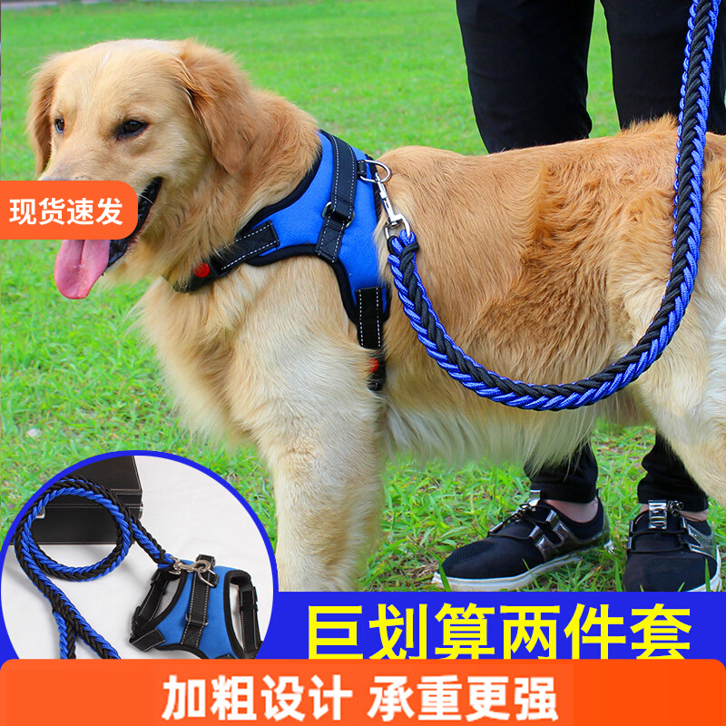 加粗三件套狗狗牵引绳小中大型犬