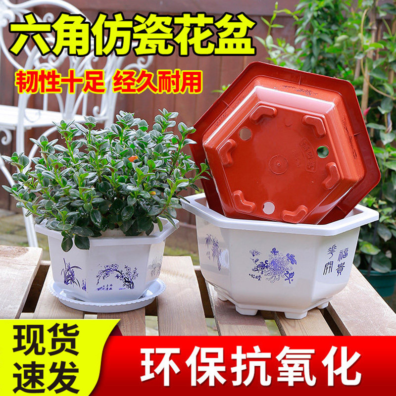 六角花盆塑料花盆加厚红白特大号盆景盆栽花卉种花种菜托盘包邮,鲜花速递/花卉仿真/绿植园艺,花盆,淘宝优惠券,粉丝福利购,淘宝优惠卷