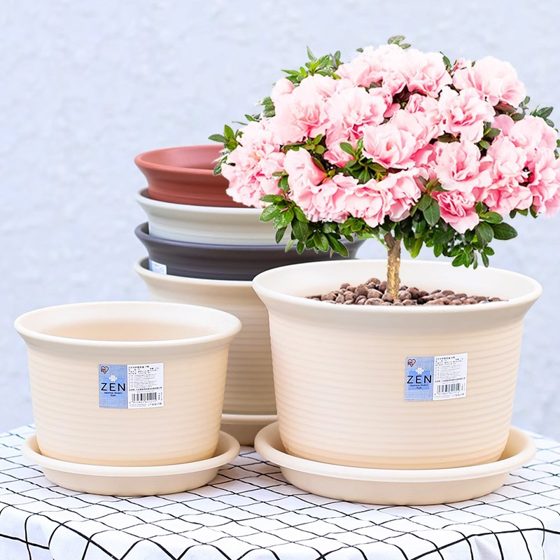香彩加厚加仑树脂圆形中钵绿萝多肉月季花盆仿陶瓷爱丽丝塑料盆
