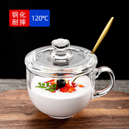 大容量早餐杯带盖勺燕麦牛奶玻璃