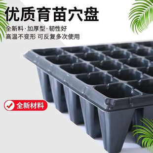 菜苗育苗盘种菜专用托盘育苗杯辣椒玉米穴盘草莓西瓜育苗盘批发