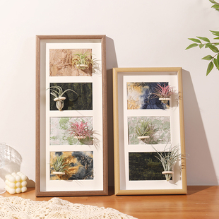 创意手工diy空气凤梨植物挂墙相框四联组合照片框装饰画中空摆台