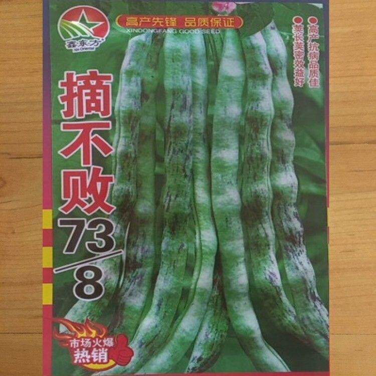 油东北豆角花皮豆无筋种籽四季播菜籽种大全芸豆豇豆农田蔬菜种子
