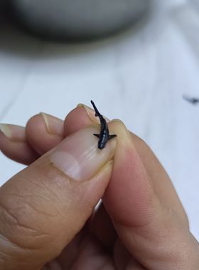 微缩道具鲸鳄鲨鱼锤头鲨大白迷你鱼缸摆件微缩景观配件diy高级小