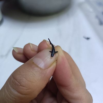 微缩道具鲸鳄鲨鱼锤头鲨大白迷你鱼缸摆件微缩景观配件diy高级小