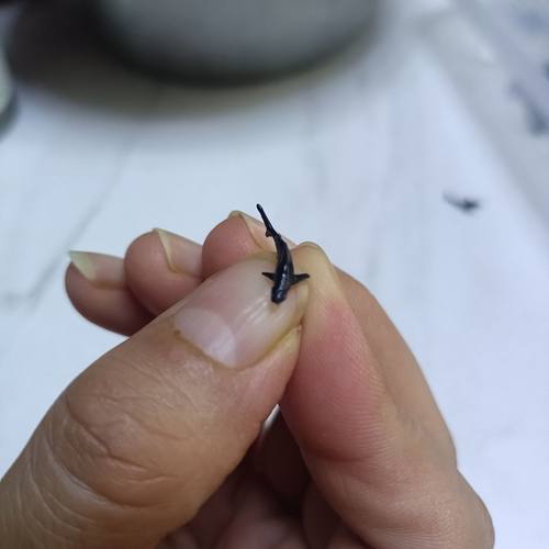 微缩道具鲸鳄鲨鱼锤头鲨大白迷你鱼缸摆件微缩景观配件diy高级小