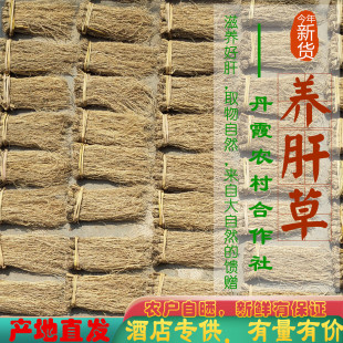 酒店专用汤料食材丝线根养肝草护肝汤龙须根草儿童开胃草煲汤泡水