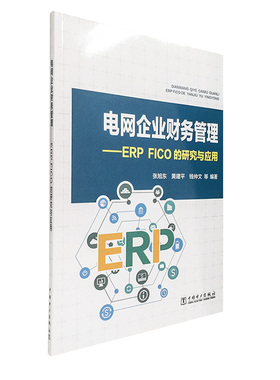 电网企业财务管理——ERP FICO的研究与应用