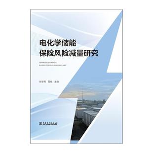 电化学储能保险风险减量研究