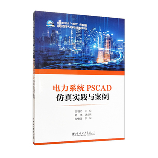 电力系统PSCAD仿真实践与案例
