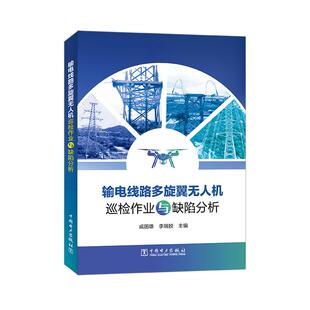 输电线路多旋翼无人机巡检作业与缺陷分析