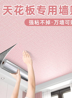 天花板贴纸自粘屋顶吊顶装饰遮丑自装墙纸房顶棚顶隔音客厅墙贴纸