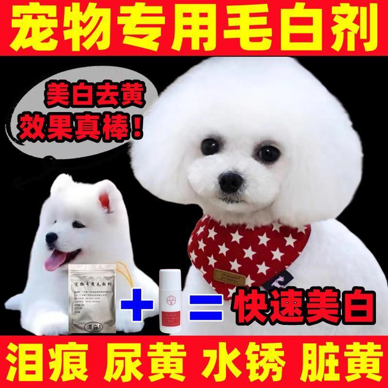 宠物猫狗狗毛白剂漂白剂白色染发比熊博美萨摩去泪痕尿黄水锈胡须