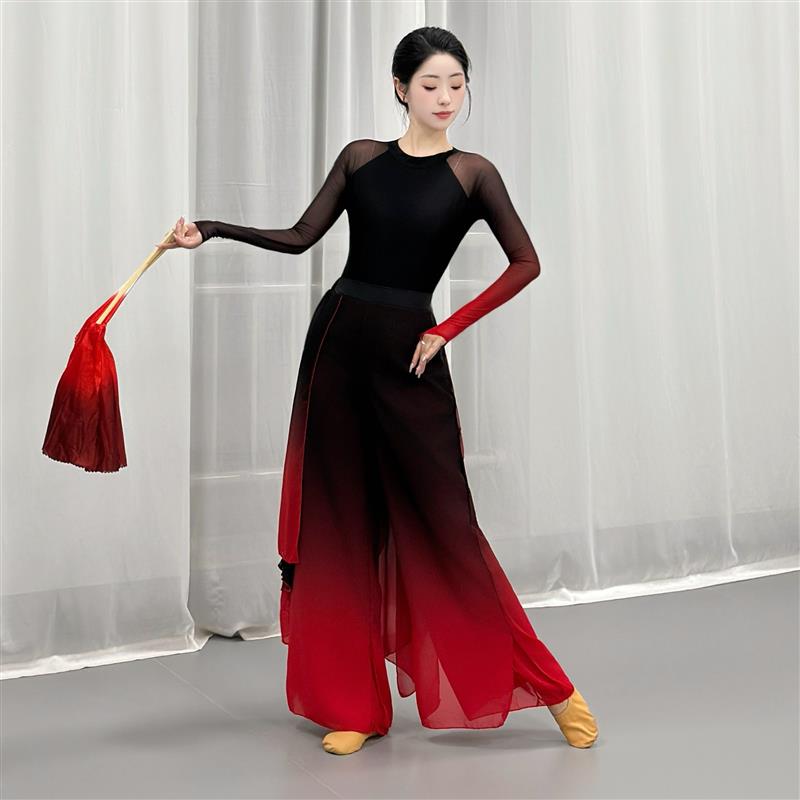 古典舞舞蹈服抬龙王扇子舞演出服胶州秧歌服荷花奖溯跃女中国风女