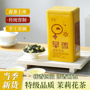 毛尖茉莉花茶2025新茶叶自己喝浓香型特级四川飘雪官方旗舰店正品