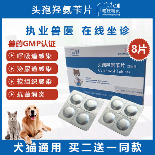 皮肤外伤价格 皮肤外伤图片 星期三