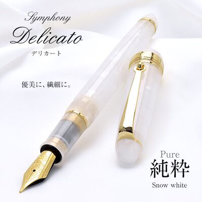 pent日本高级树脂墨水笔