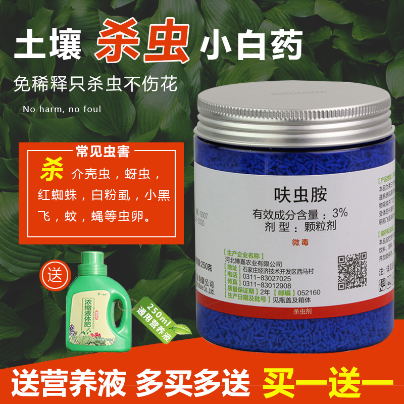 土壤杀虫剂3%呋虫胺小白药颗粒内吸式专杀蚧壳虫蚜虫通用多肉花药