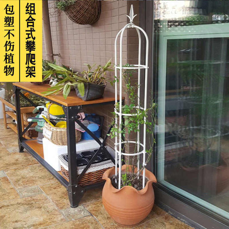 园艺爬藤支架 藤蔓菱形花架欧月铁线莲爬藤架庭院走廊别墅造景