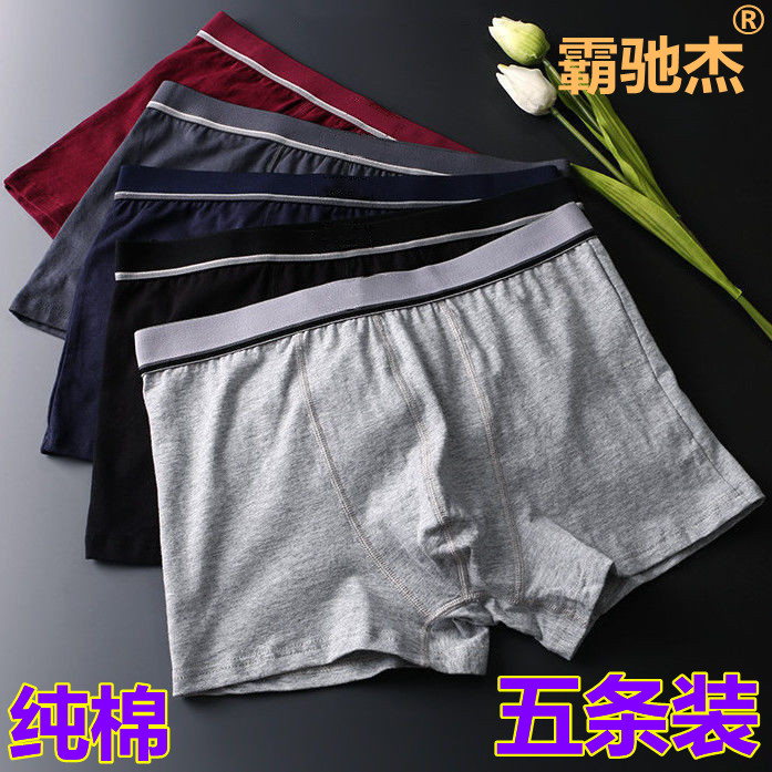 纯棉内裤男士纯色透气吸汗全棉宽松U凸青年平角裤头性感四角底裤