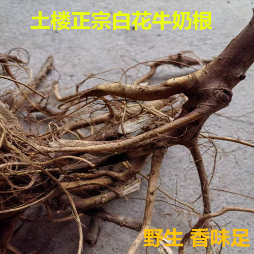 土楼野生白花牛奶根毛桃根干货煲汤泡酒五指毛桃爪金龙奶根福建
