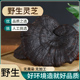 武夷山野生灵芝泡酒灵芝切片紫灵芝深山干货中药材煲汤正品 不苦