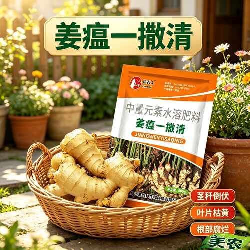 生姜姜瘟一撒清微生物肥料