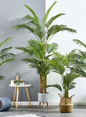 仿真散尾葵凤尾竹植物盆栽客厅大型仿生绿植落地富贵椰子高仿摆件