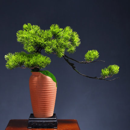 新中式仿真迎客松盆景崖柏摆件玄关客厅角几书房茶室仿真绿植花艺