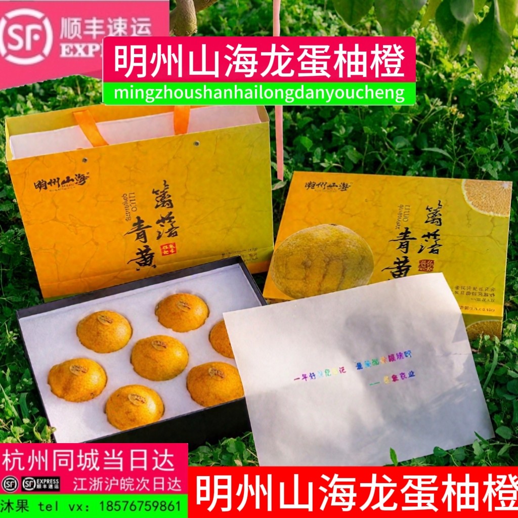 明州山海龙蛋橙柚礼盒装6斤当季新鲜水果篱落青黄橙子香甜嫩多汁,水产肉类/新鲜蔬果/熟食,橙,淘宝优惠券,粉丝福利购,淘宝优惠卷