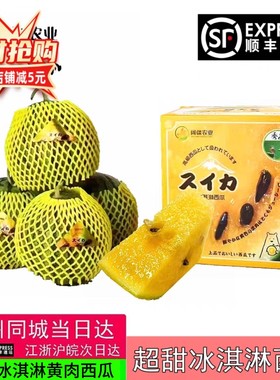 阔疆农业冰淇淋西瓜黄壤沙肉西瓜
