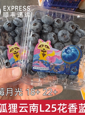 云南金狐狸完莓月光L25花香蓝莓4盒/6盒/12盒 护眼鲜脆甜蓝莓果