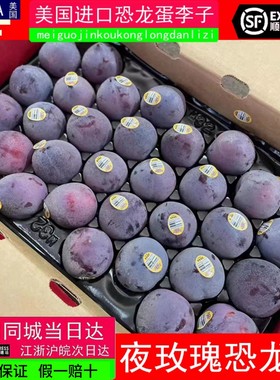 美国进口夜玫瑰李恐龙蛋李2斤血丝李新鲜布林杏李子新鲜水果顺丰