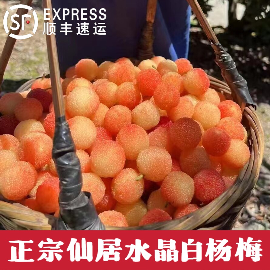 【稀有】水晶杨梅白杨梅鲜果浙江仙居杨梅新鲜礼盒杨梅当季新鲜