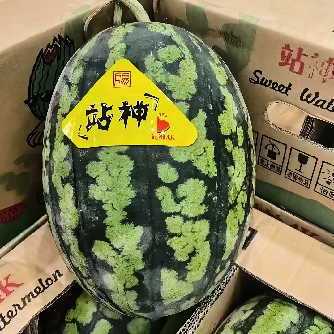 站神甘美4K西瓜1个新鲜脆甜多汁薄皮大西瓜当季时令水果,水产肉类/新鲜蔬果/熟食,西瓜,淘宝优惠券,粉丝福利购,淘宝优惠卷