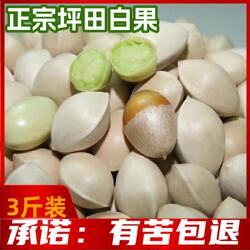 25年新果银杏之乡南雄坪田白果银杏果古树果无苦无芯清甜 大果