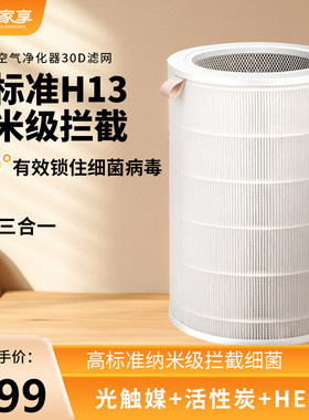 众家享30D空气净化器滤网