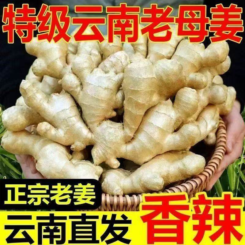 2025云南小黄姜官方推荐