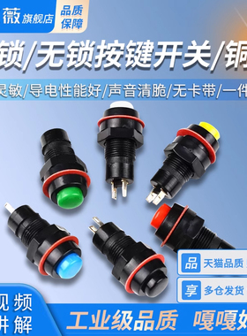按钮开关DS-213/211自无锁点动复位黄蓝绿白黑红色安装孔10MM铜脚