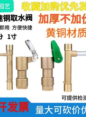 黄铜快速取水阀1寸园林铜取水杆绿化取水器6分浇水钥匙草坪阀门箱