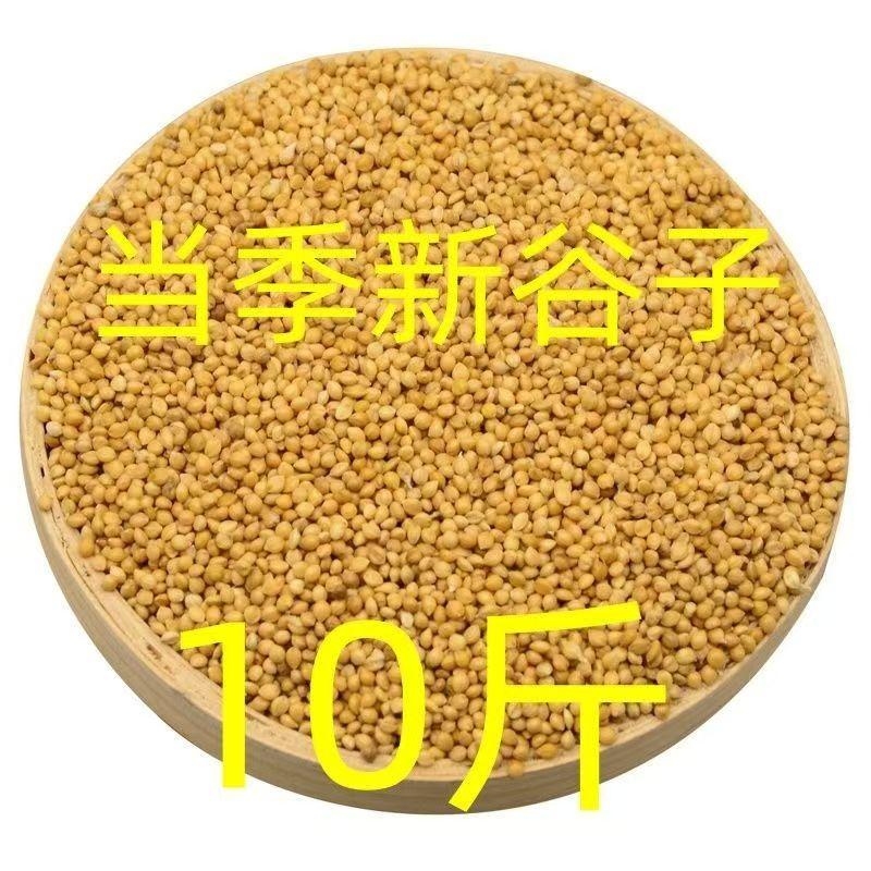 新黄谷子带壳小米虎皮牡丹鸟食