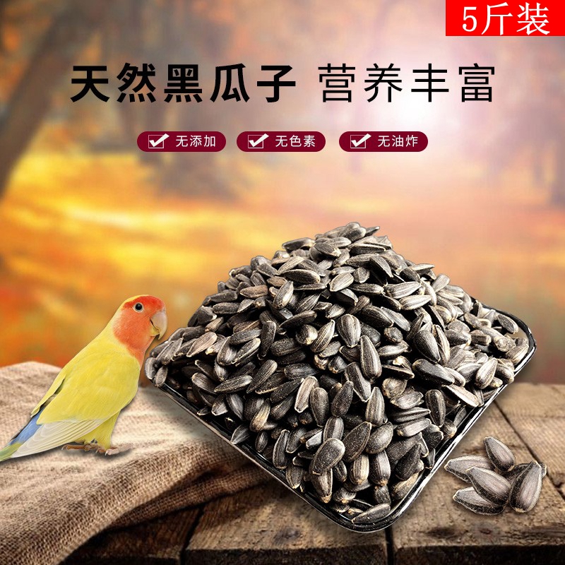 鹦鹉鸟食鸟粮小油葵宠物零食小黑瓜子仓鼠粮食油葵子鸽粮5斤包邮