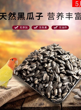 鹦鹉鸟食鸟粮小油葵宠物零食小黑瓜子仓鼠粮食油葵子鸽粮5斤包邮