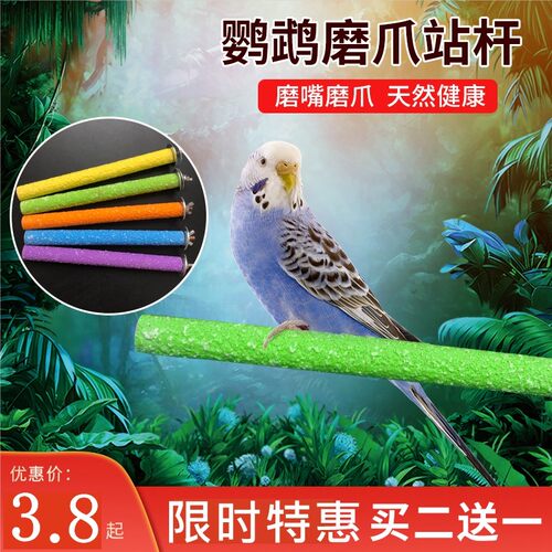 鹦鹉鹦鹉磨砂用品八哥画眉鸟配件