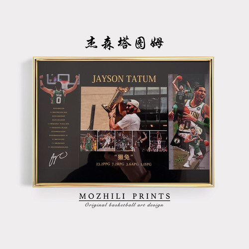 塔图姆职业生涯荣誉铝合金相框