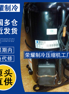 TAG4540Y TAG4528Y TAG4546T TAG4561T TAG4561Z泰康原装压缩机