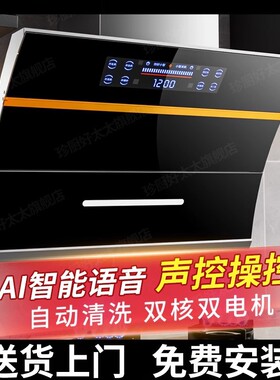大吸力抽油烟机厨房双电