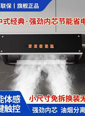 雅奇好太太油烟机家用厨房大吸力中式经典抽油烟机出租房小尺寸