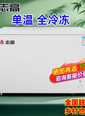 志高单门单温大容量冰柜
